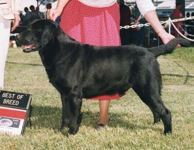 CH Marstad Change For A Dollar