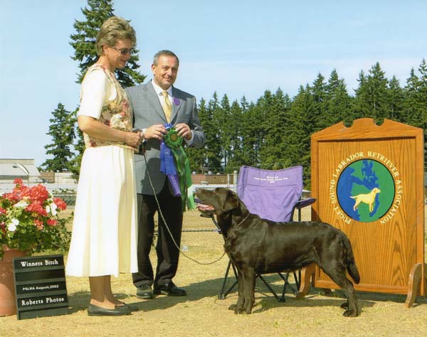 Marstad Boston Lager