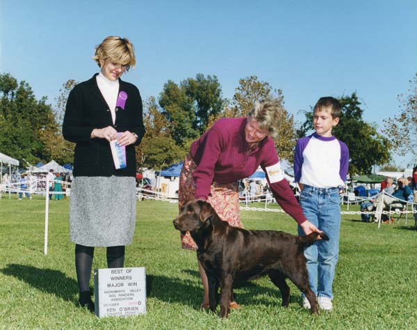 CH Clarion Marstad Frangelica