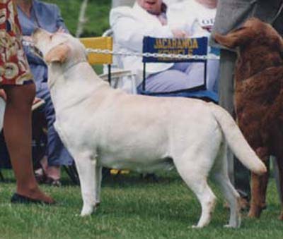 CH Marstad's Loose Change CD JH