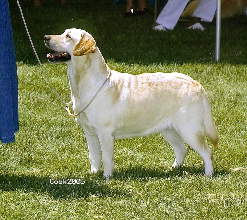 Galileo Marstad Bleu Moon