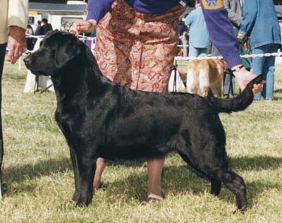 CH Marstad's Spare Change