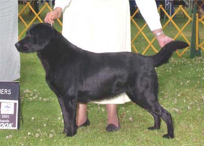 Marstad's Play It Again JH