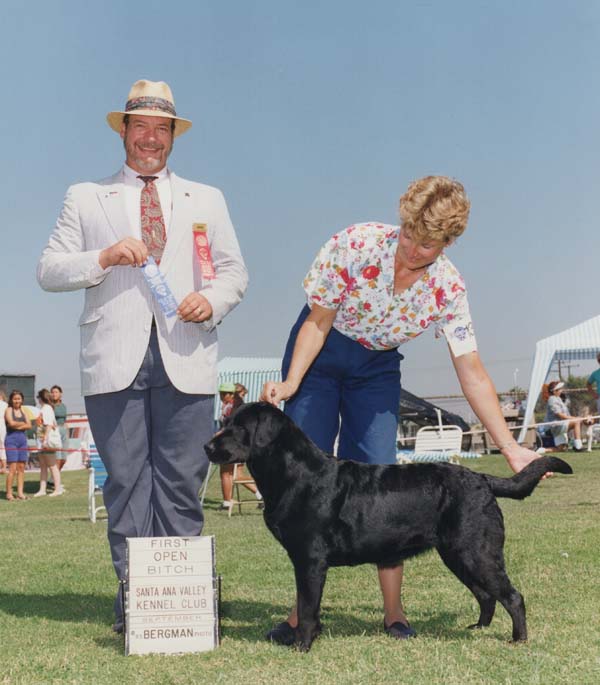 Marstad's Speak Softly